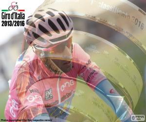 Rompicapo di V. Nibali, Giro di Italia 2016