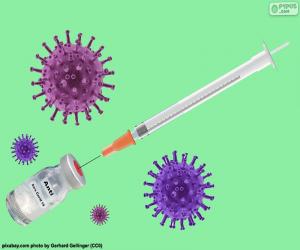 Rompicapo di Vaccino Sars Covid 19