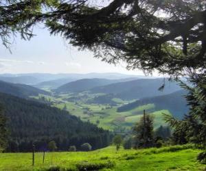 Rompicapo di Valle della foresta nera, Germania