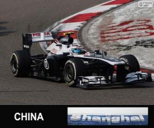 Rompicapo di Valtteri Bottas - Williams - Shanghai 2013