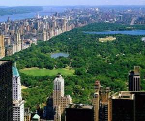 Rompicapo di Veduta aerea del Central Park, New York