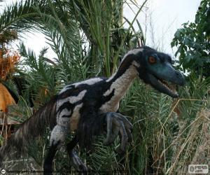 Rompicapo di Velociraptor