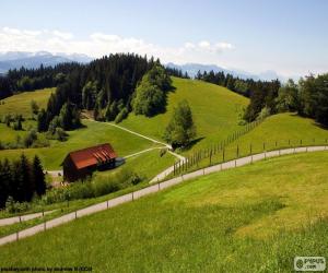 Rompicapo di Verdi prati di montagna