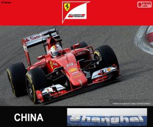 Rompicapo di Vettel G.P Cina 2015
