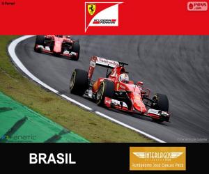 Rompicapo di Vettel, G.P del Brasile 2015