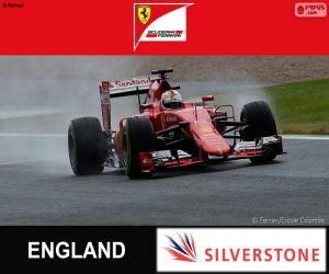 Rompicapo di Vettel G.P Gran Bretagna 2015