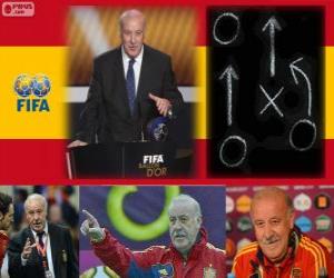 Rompicapo di Vicente del Bosque FIFA 2012 di allenatore di calcio maschile