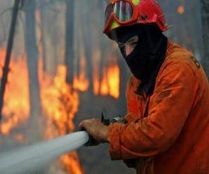 Rompicapo di Vigile del fuoco in azione