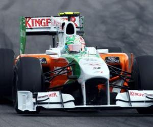 Rompicapo di Vitantonio Liuzzi - Force India - Hockenheim 2010