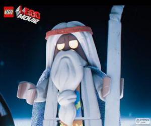 Rompicapo di Vitruvius, il vecchio stregone del film, la grande avventura di Lego