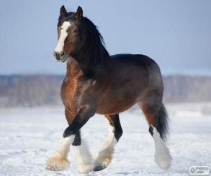 Rompicapo di Vladimir cavallo originari della Russia
