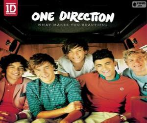 Rompicapo di What Makes You Beautiful, One Direction