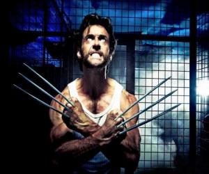 Rompicapo di Wolverine è un supereroe mutante e uno degli X-Men e degli Nuovi Vendicatori