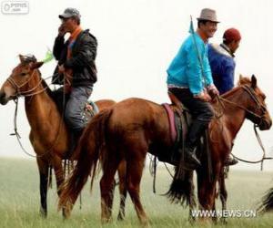 Rompicapo di Xilingol cavallo originaria della Mongolia