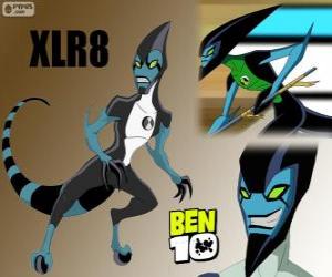 Rompicapo di XLR8, Ben 10