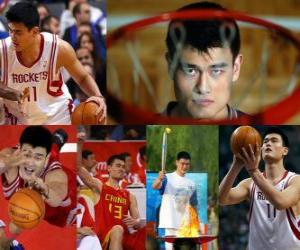 Rompicapo di Yao Ming si ritira dal basket professionista (2011)