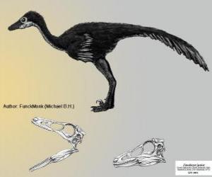 Rompicapo di Zanabazar è uno della più grande specie noto, con un cranio di 272 mm