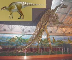 Rompicapo di Zhuchengosaurus è una del più grande conosciuto adrosauridi