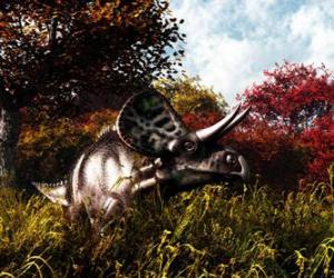 Rompicapo di Zuniceratops è stato di circa 3 a 3,5 metri di lunghezza e 1 metro di altezza.