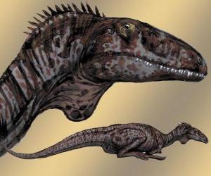 Rompicapo di Zupaysaurus era di medie dimensioni teropodi, raggiungendo a 4 m di lunghezza, alto 1,20 e pesa 200 kg