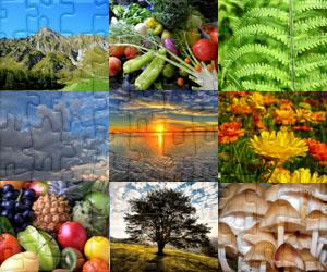 Puzzle di Natura