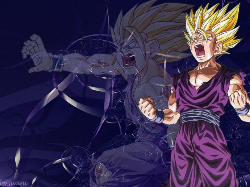 SON GOHAN puzzle