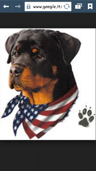 Rottweiler (1) puzzle