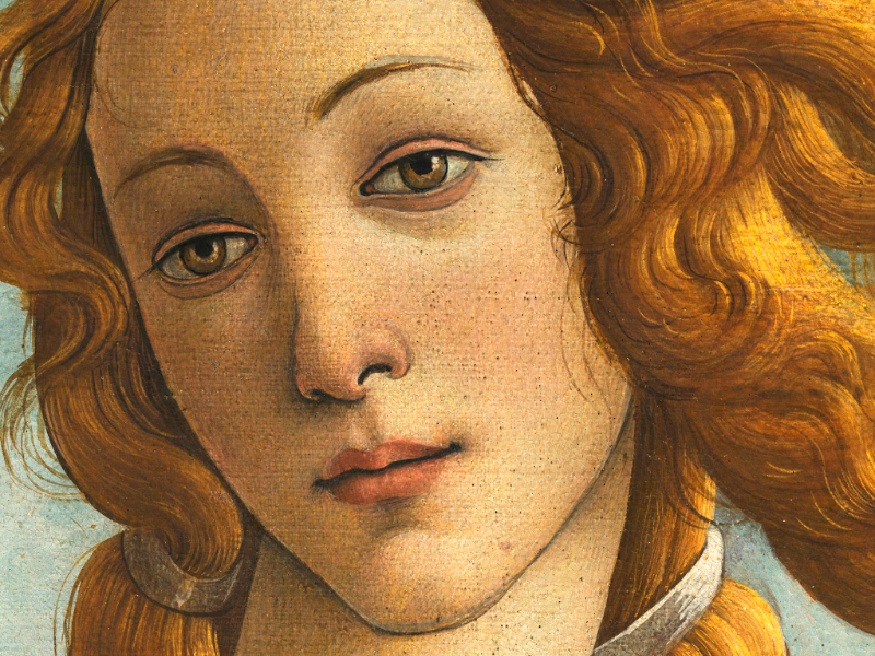 Venere di Botticelli puzzle